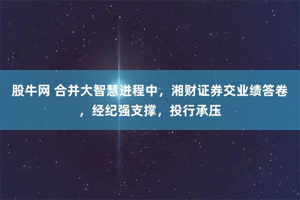 股牛网 合并大智慧进程中，湘财证券交业绩答卷，经纪强支撑，投行承压