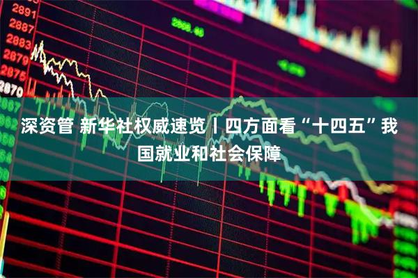 深资管 新华社权威速览丨四方面看“十四五”我国就业和社会保障